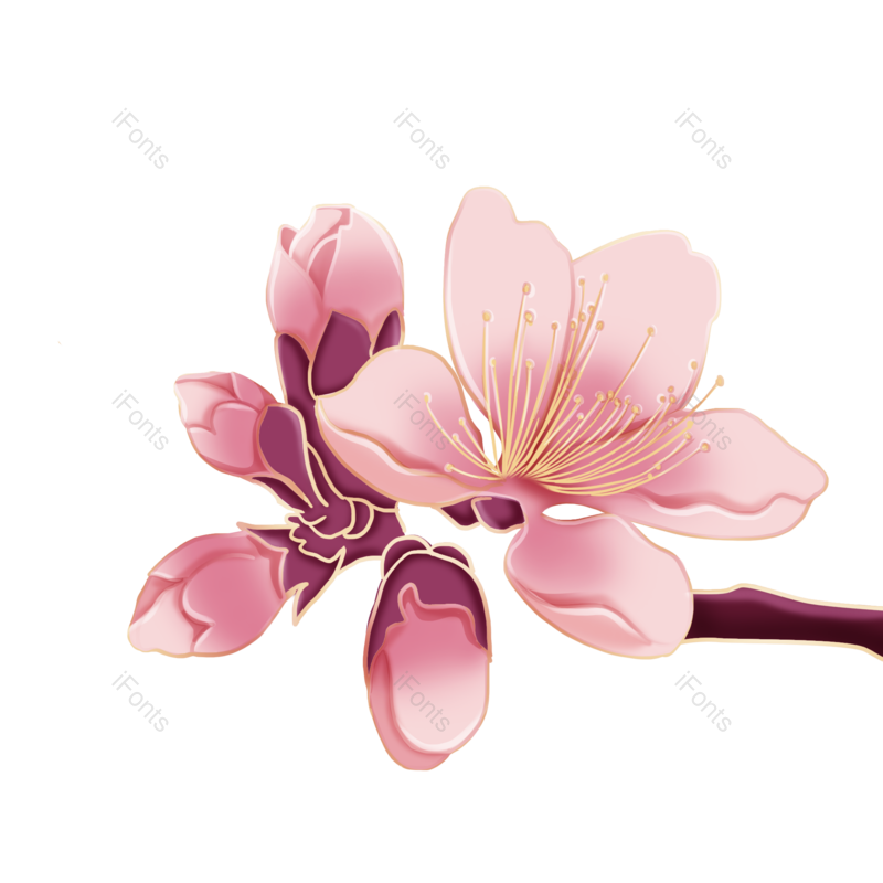 花卉图片,樱花元素,春天PNG,植物免抠素材